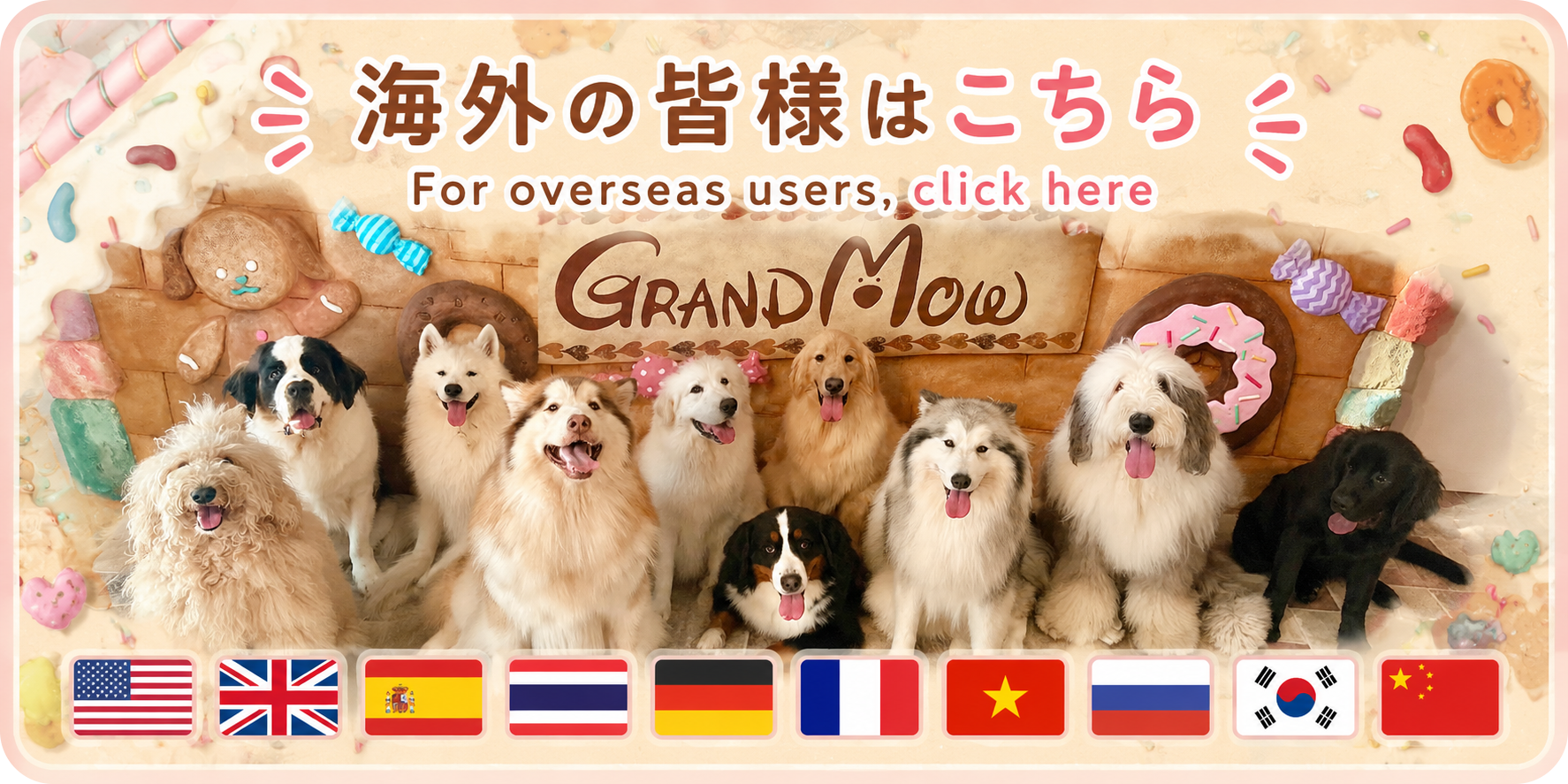 海外の皆様はこちら